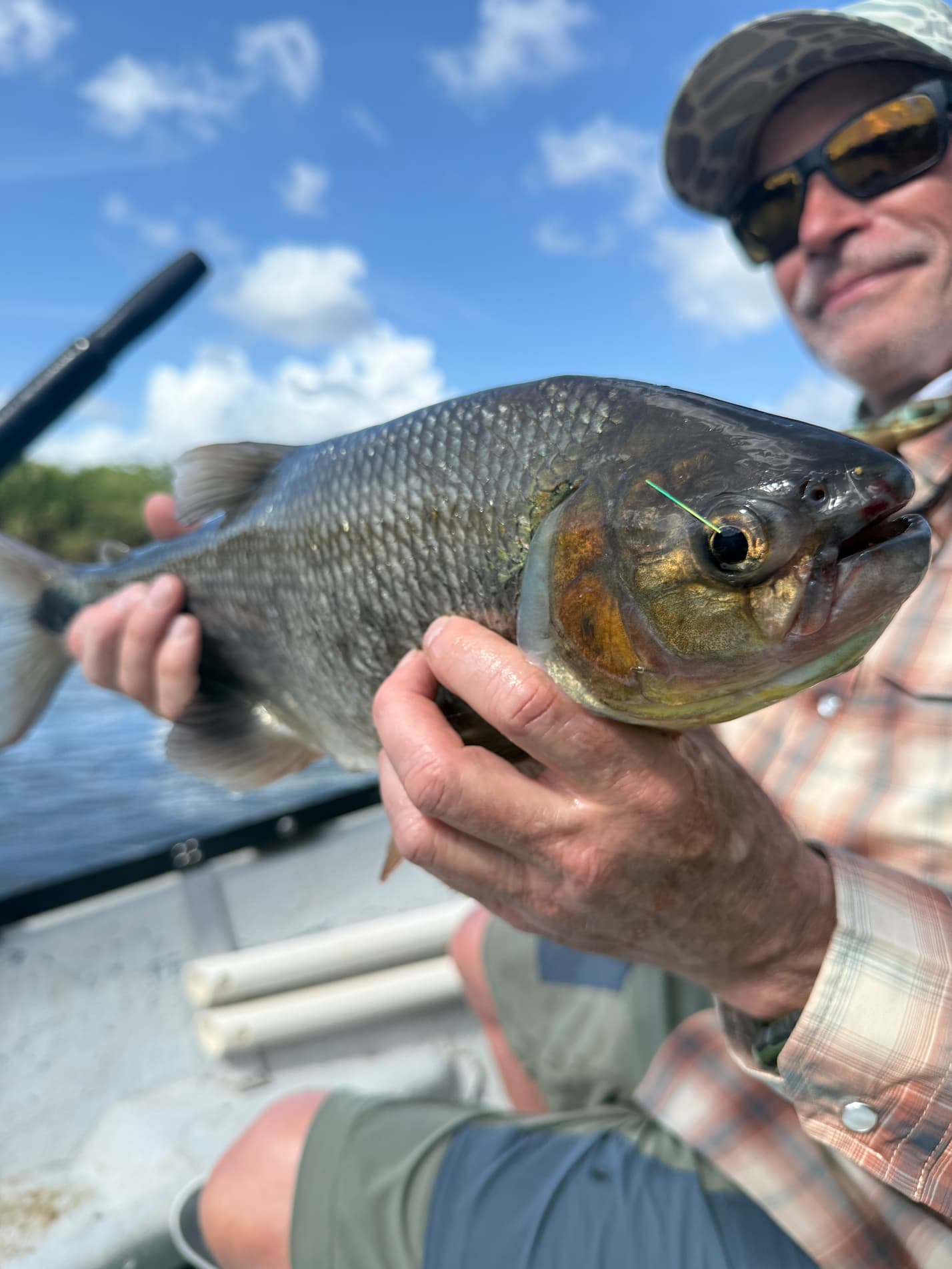 Drift Boat Tarpon Club Panama Game Fish Drift Boat Tarpon Club Panama Game Fish