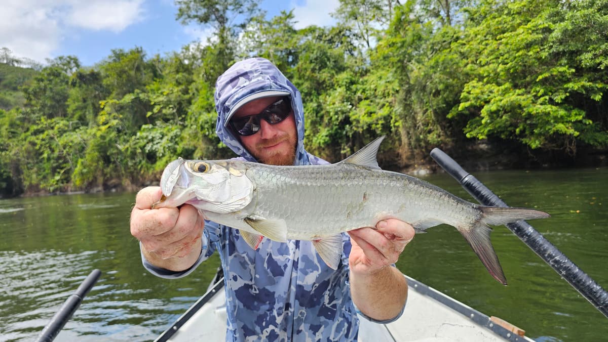 Guide Tyler Morris in Panama with a Tarpon